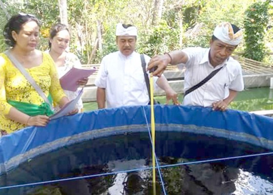 Nusabali.com - produksi-ikan-air-tawar-di-badung-72810-ton-di-2018