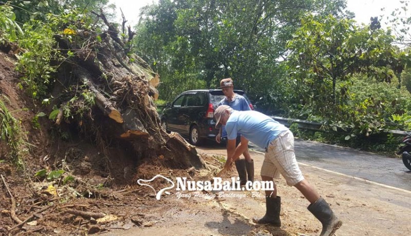 www.nusabali.com-banjir-di-gitgit-jalur-denpasar-singaraja-sempat-lumpuh