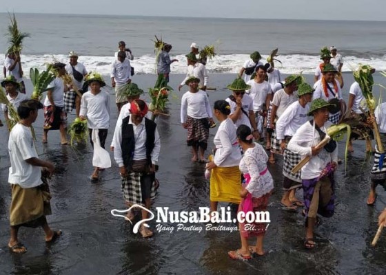 Nusabali.com - desa-pakraman-semaagung-gelar-tradisi-tektekan