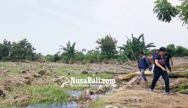 www.nusabali.com-puluhan-hektare-sawah-asah-tersapu-banjir