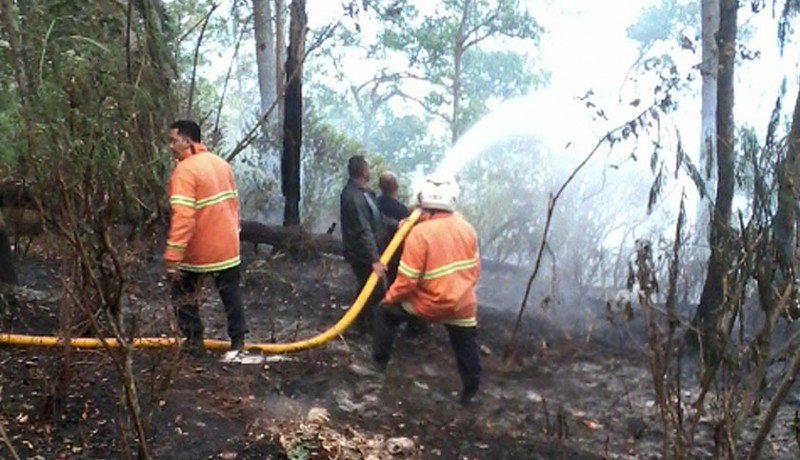 www.nusabali.com-hektaran-hutan-di-desa-suter-ludes-terbakar
