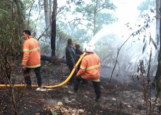Nusabali.com - hektaran-hutan-di-desa-suter-ludes-terbakar