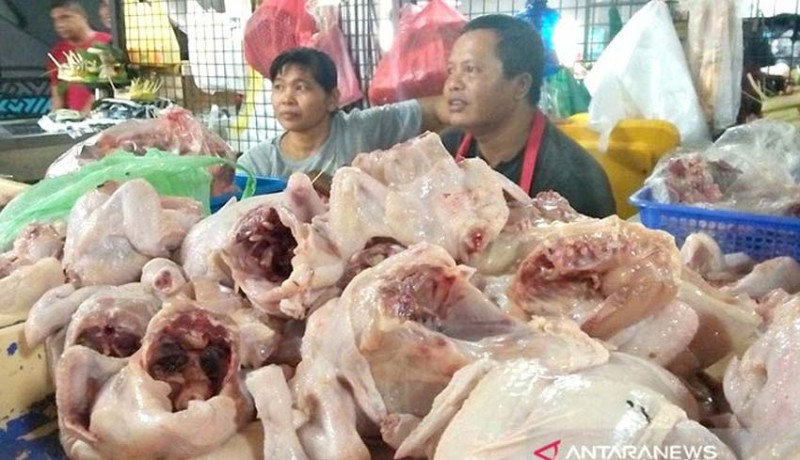 www.nusabali.com-pedagang-pasar-badung-keluhi-harga-daging-ayam