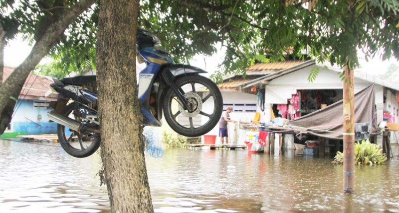 www.nusabali.com-bnpb-5847-kk-terdampak-banjir-di-konawe