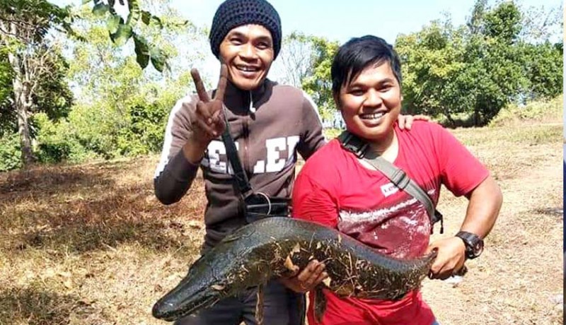 www.nusabali.com-pemancing-ikan-gar-aligator-akan-diberikan-penghargaan