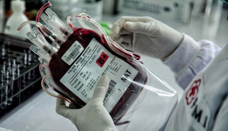 www.nusabali.com-dtb-gelar-donor-darah