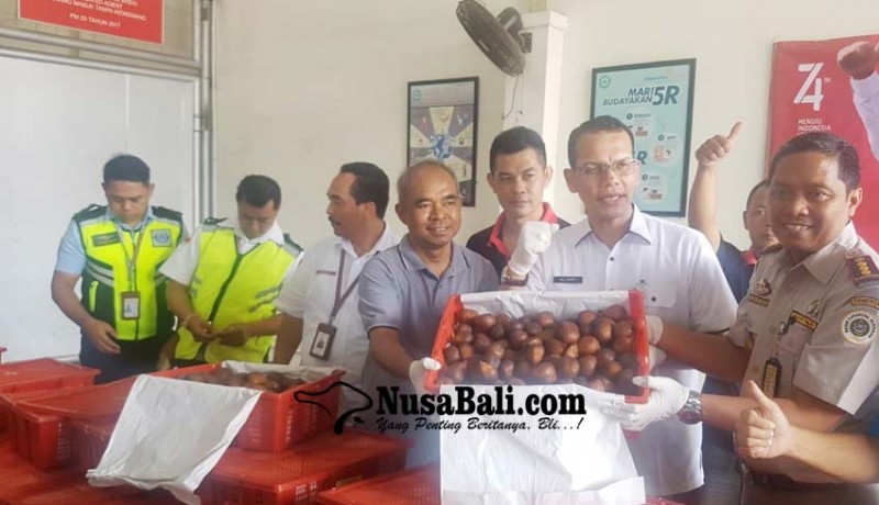 www.nusabali.com-bali-ekspor-salak-dan-kakao