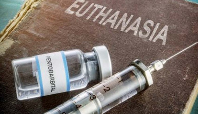 www.nusabali.com-komnas-ham-berharap-eutanasia-dilegalkan