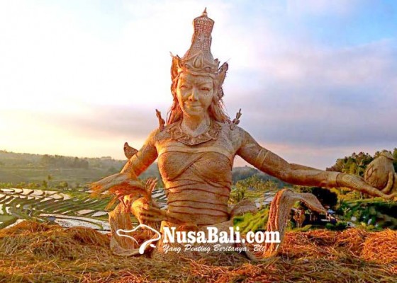 Nusabali.com - festival-jatiluwih-dibuka-hari-ini