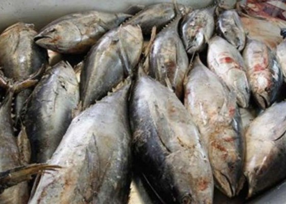 Nusabali.com - ekspor-tuna-mete-dan-kakao-perlu-digenjot