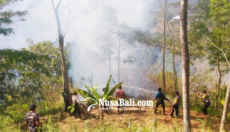 www.nusabali.com-sehari-kintamani-dilanda-tiga-kebakaran