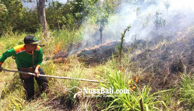 www.nusabali.com-lereng-selatan-gunung-agung-terbakar