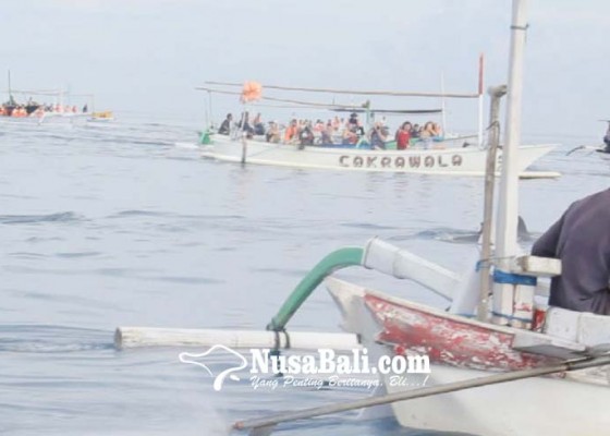 Nusabali.com - tarif-wisata-dolphin-diseragamkan