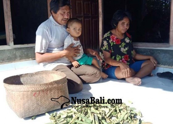 Nusabali.com - hidupi-3-anak-cari-nafkah-keliling-jualan-jagung-rebus