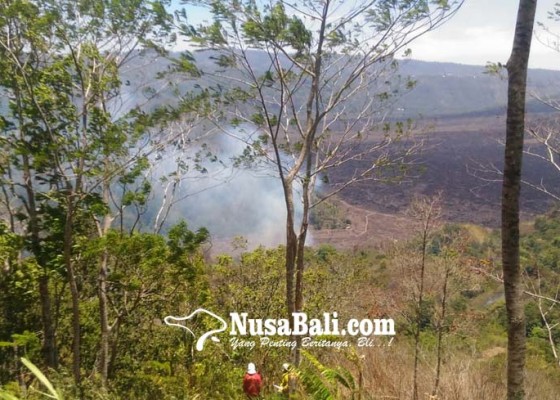 Nusabali.com - lagi-kebakaran-lahan-di-batur-tengah