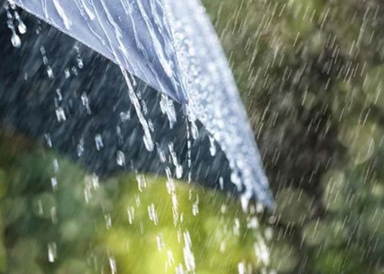 Nusabali.com - kecamatan-pupuan-mulai-turun-hujan