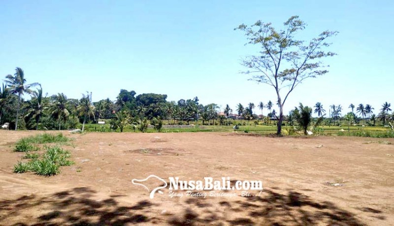 www.nusabali.com-rencana-pembangunan-taman-bung-karno-ngambang