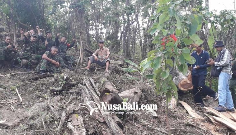 www.nusabali.com-tni-bongkar-konspirasi-illegal-logging-di-buleleng