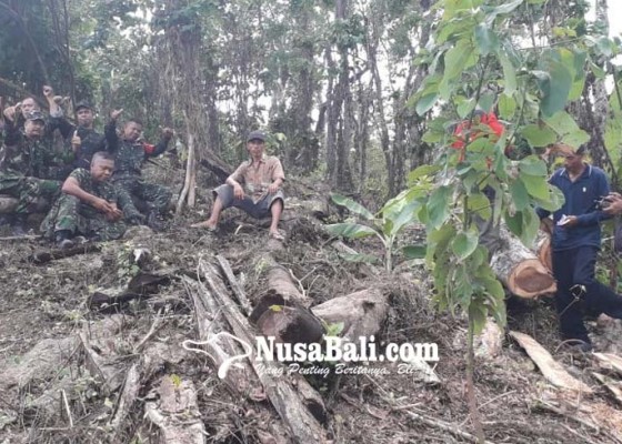 Nusabali.com - tni-bongkar-konspirasi-illegal-logging-di-buleleng