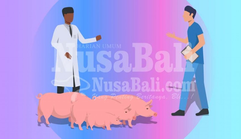 www.nusabali.com-komisi-ii-dprd-badung-usul-peternak-babi-dapat-asuransi