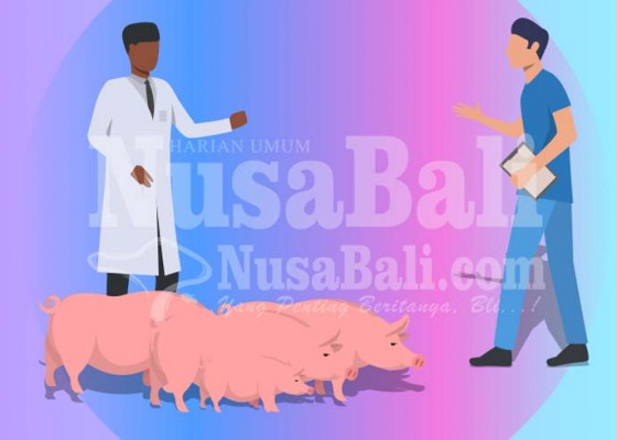 Nusabali.com - sekda-minta-distan-proaktif-sikapi-kasus-kematian-babi