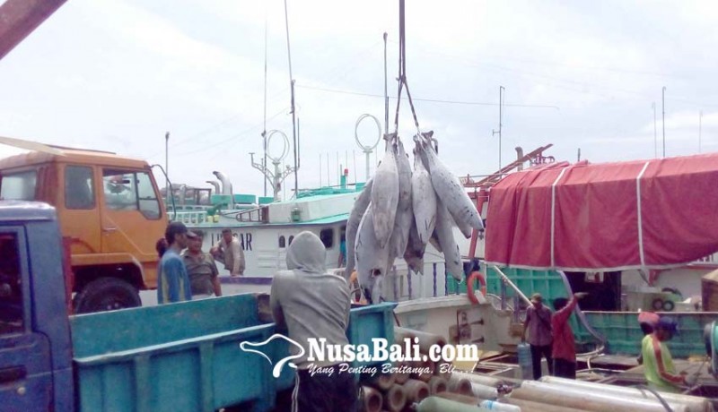 www.nusabali.com-eropa-gemari-ekspor-tuna-bali