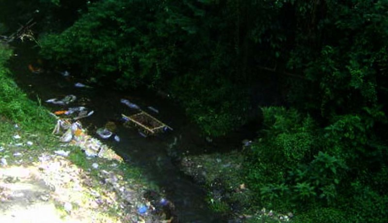 www.nusabali.com-sasih-ngaben-bekas-bade-berserakan-di-sungai