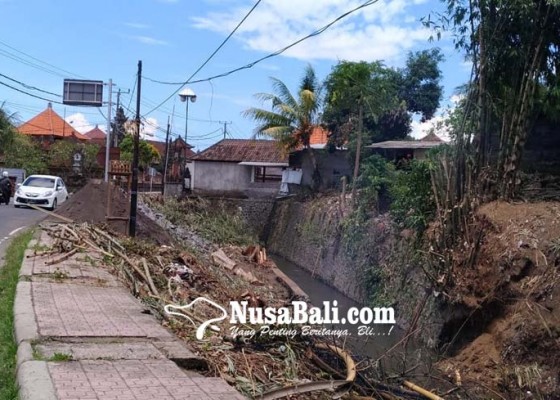 Nusabali.com - bpd-lebih-stop-proyek-taman-desa