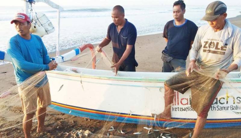www.nusabali.com-tangkapan-melimpah-nelayan-ketewel-semringah