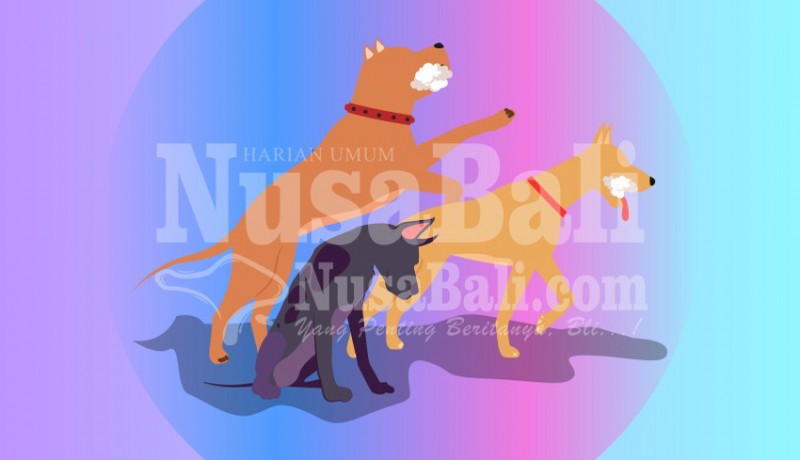 www.nusabali.com-2020-menuju-bali-bebas-rabies