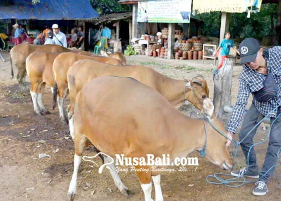 Nusabali.com - warga-luar-desa-dilarang-ke-pasar-bebandem
