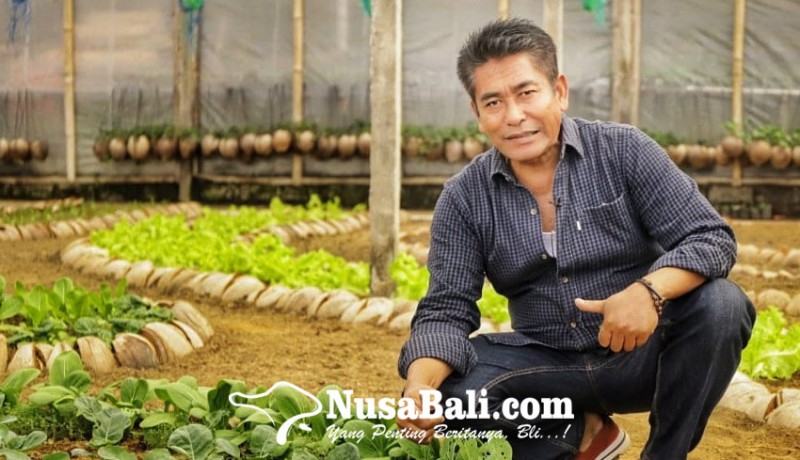 www.nusabali.com-kesempatan-bagus-bagi-dunia-pertanian-di-tengah-pandemi