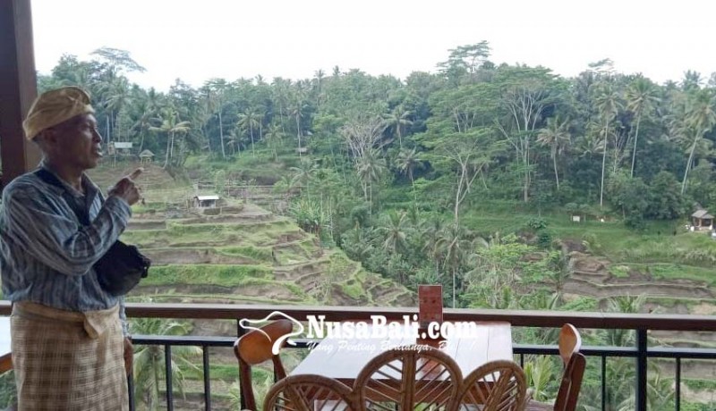 www.nusabali.com-kaca-cermin-bikin-silau-view-ceking-rice-terrace