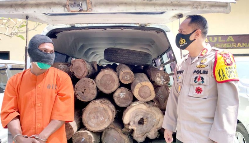 www.nusabali.com-angkut-37-batang-kayu-ilegal-2-warga-kelatakan-diamankan