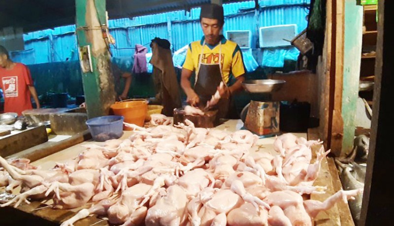 www.nusabali.com-daging-ayam-dan-migor-sumbang-inflasi