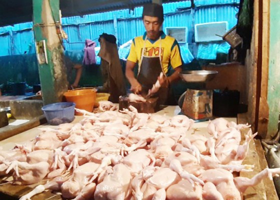Nusabali.com - daging-ayam-dan-migor-sumbang-inflasi