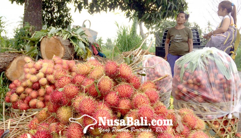 www.nusabali.com-pemasaran-buah-buleleng-gandeng-kabupaten-badung