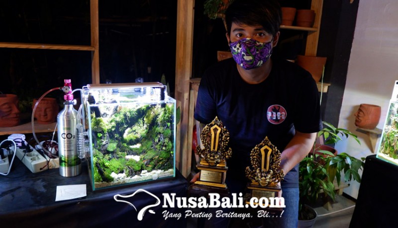 www.nusabali.com-juara-aquascape-contest-bali-2020-berbagi-tips