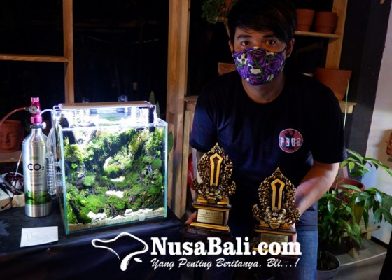 Nusabali.com - juara-aquascape-contest-bali-2020-berbagi-tips