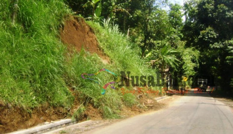 www.nusabali.com-tebing-longsor-proyek-drainase-tertimbun