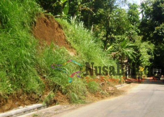 Nusabali.com - tebing-longsor-proyek-drainase-tertimbun