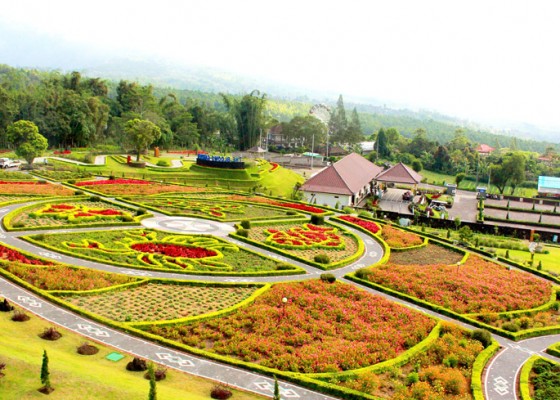 Nusabali.com - the-blooms-garden-targetkan-kunjungan-di-desember-6000-orang