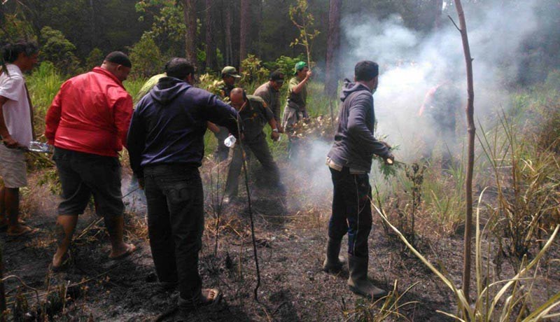 www.nusabali.com-10-hektare-hutan-lindung-di-puragae-terbakar