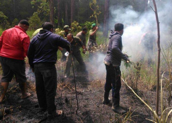 Nusabali.com - 10-hektare-hutan-lindung-di-puragae-terbakar