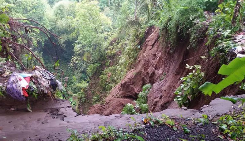 www.nusabali.com-longsor-dan-pohon-tumbang-terjang-petang