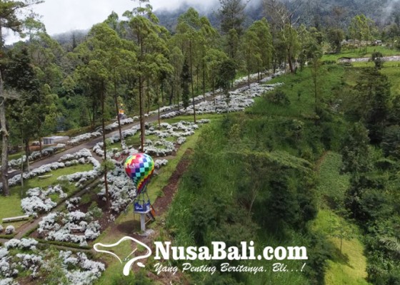 Nusabali.com - cineclue-dan-sanggar-seni-baswaram-kolaborasi-seni-kembangkan-taman-edelweis