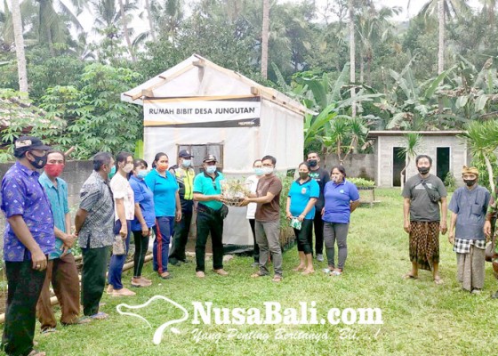 Nusabali.com - warga-desa-jungutan-dapat-bantuan-bibit-hortikultura