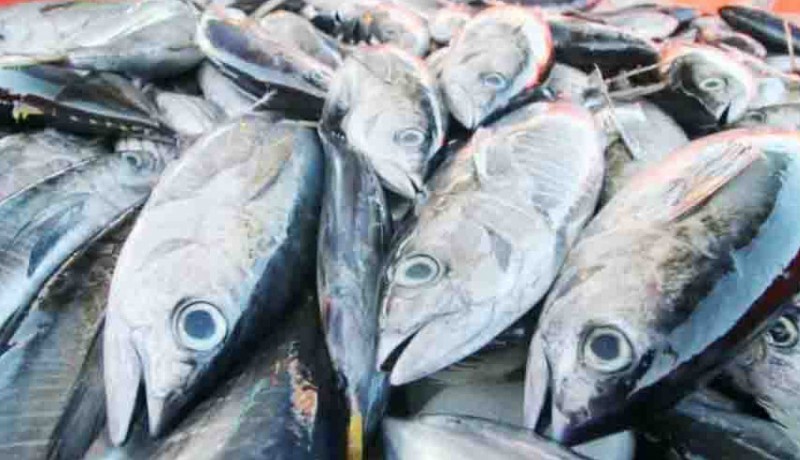 www.nusabali.com-produk-tuna-ri-raih-sertifikasi-standar-global