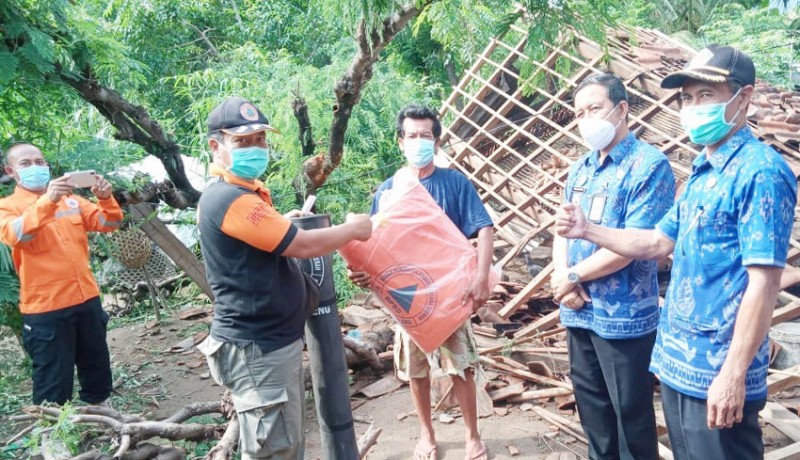 www.nusabali.com-bpbd-buleleng-dan-camat-gerokgak-salurkan-bantuan-untuk-korban-pohon-tumbang