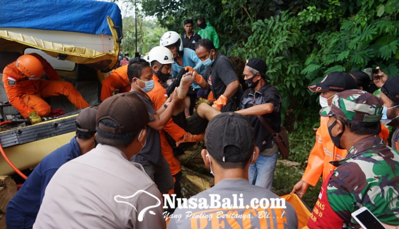 www.nusabali.com-bencana-pohon-tumbang-di-karangasem-2-tewas-2-luka